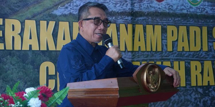 Perkuat Ketahanan Pangan: Bupati Kutim Siapkan 20.000 Hektare Lahan!