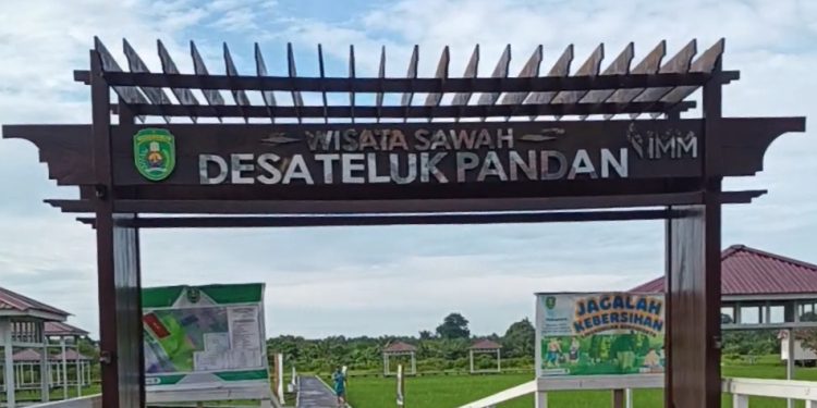 Agrowisata Sawah Tawarkan Wisata Edukasi dan Dorong Ekonomi Warga
